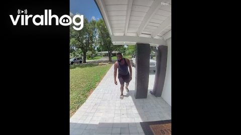 Two Thumbs Up and a Little Mango Dance || ViralHog