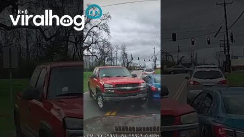 Driving Gone Wrong || ViralHog