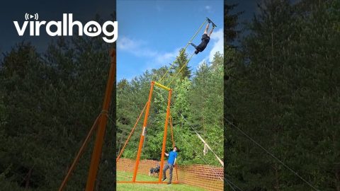 When Swinging Becomes an Extreme Sport || ViralHog