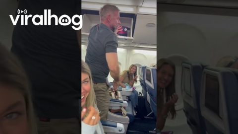 Luggage Assistance Ends in Disaster || ViralHog