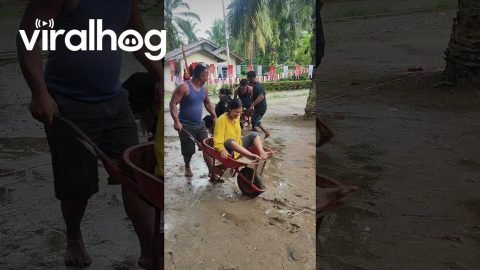 Community Cheers For Couples' Wheelbarrow Races || ViralHog