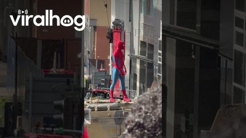 Kiddo Watching Spiderman on Set in Glasgow || ViralHog