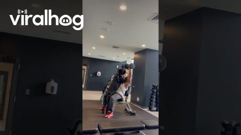 Dog Spots for Owner at the Gym || ViralHog