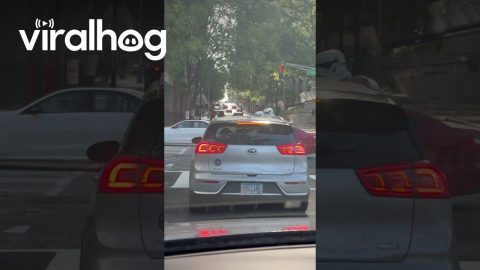 Stormtroopers in Downtown Atlanta || ViralHog