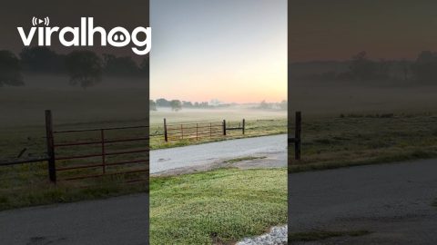 Hartsville, TN Nuclear Cooling Tower Demolition || ViralHog