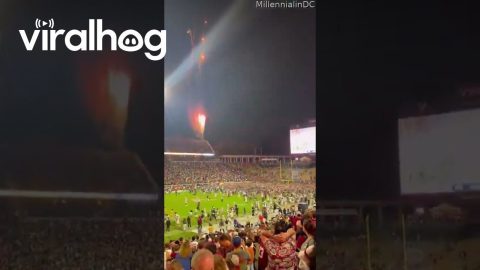 Virginia Fans Rush the Field After Upset Victory || ViralHog