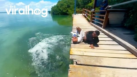 Try Not to Laugh Challenge 🤣 ULTIMATE Funny Fails 2025 || ViralHog