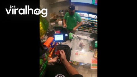 Please Pull a Wallet || ViralHog