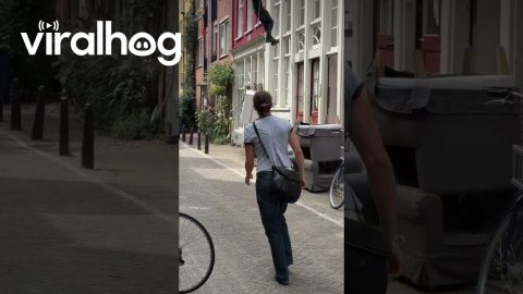 Moving Furniture Gives Man Wings || ViralHog