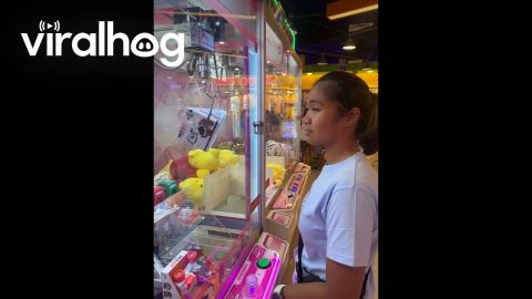 Claw Machine Won't Drop the Toy || ViralHog