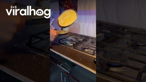 Flipped the Pan and the Tortilla || ViralHog