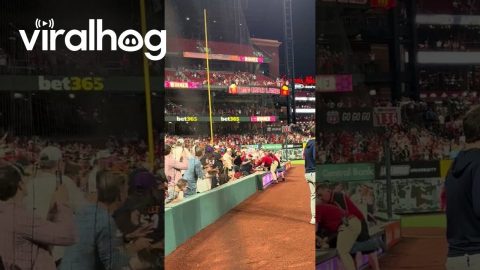 Cardinals Fan Rushes the Field at Busch Stadium || ViralHog