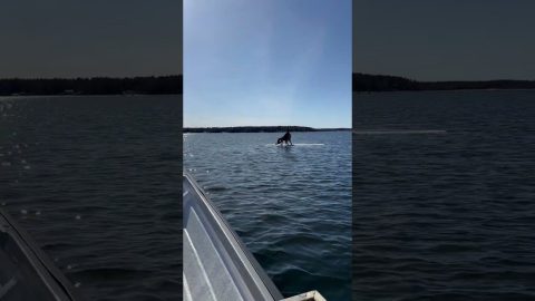 Man on an Iceberg || ViralHog