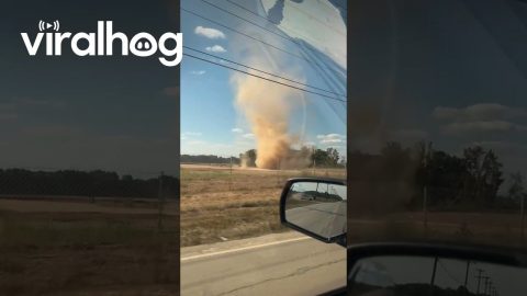 Dust Devil Vortexes Merge || ViralHog