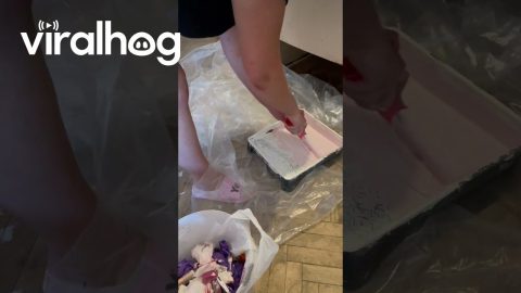 Repainting an Antique Refrigerator With Lipstick || ViralHog