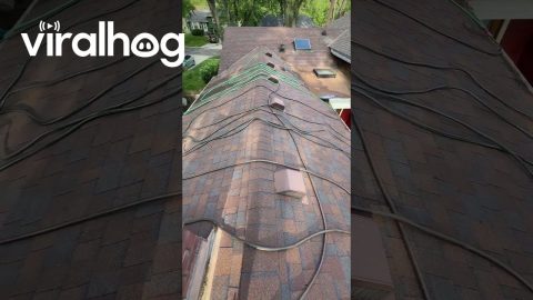 Homemade Pool Heater || ViralHog