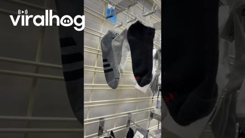 Single Socks at Ross || ViralHog