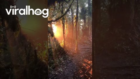 Golden Hour in Gunung Ratai Indonesia || ViralHog