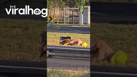 Roadworks Mannequin Having A Monday In The Median || ViralHog