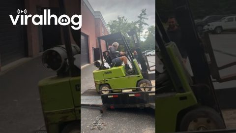 Driving Forklift Up a Trailer Ramp || ViralHog