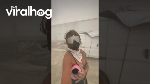 Sandstorm at Burningman 2025 || ViralHog