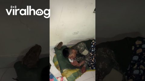 Toad Wakes Sleeping Soldiers || ViralHog