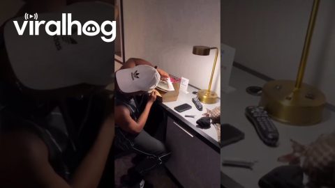 Getting Creative When the Hotel Has No Microwave || ViralHog