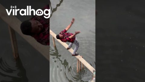 Roblox Real Life Bridge || ViralHog