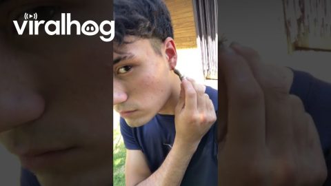 Little Lizard Makes for a Chic Earing || ViralHog