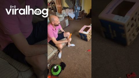 Dog Enrichment Game Gone Wrong || ViralHog