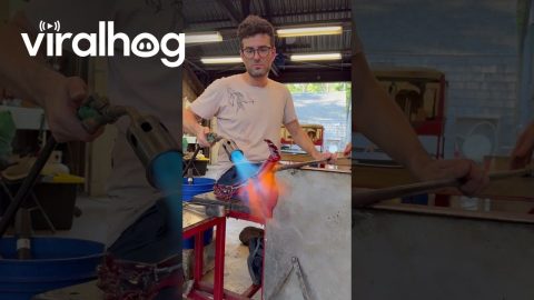 Artist Blows Glass Bag Holding Itself || ViralHog