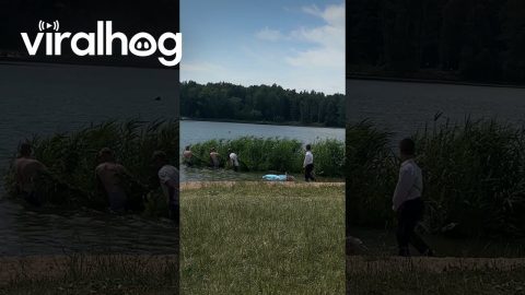 Guys Move a Floating Patch of Foliage || ViralHog