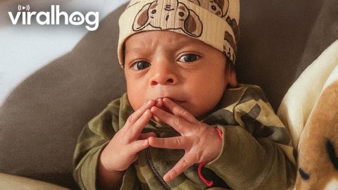 Funniest Baby Moments Ever! 👶😂 ViralHog