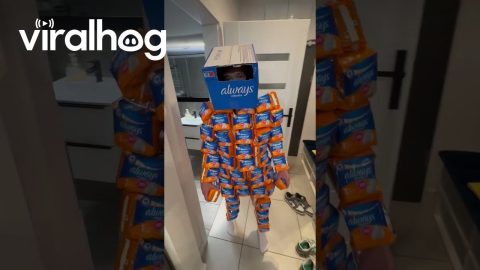 Man in the Always Pads Suit || ViralHog