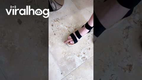 Who Needs Hands When You Have Toe || ViralHog