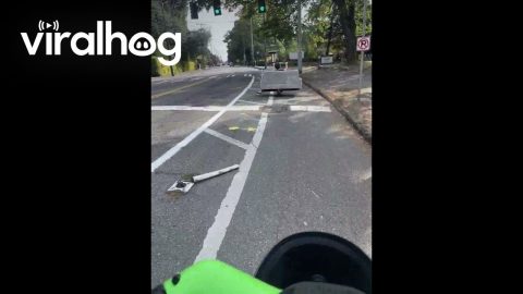 Couple Use Electric Scooter To Transport Couch || ViralHog