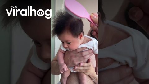 Combing Our Baby's Hair || ViralHog
