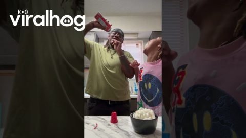 Whip Cream Surprise || ViralHog