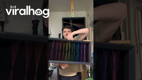 Colorful Silk Thread Art || ViralHog