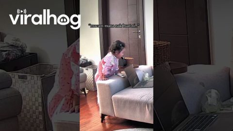 Daughter Attempts To Clean Spilled Matcha || ViralHog