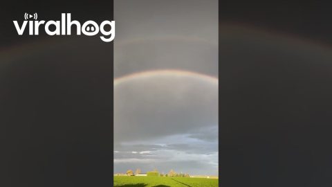 Rainbow After a Summer Storm || ViralHog