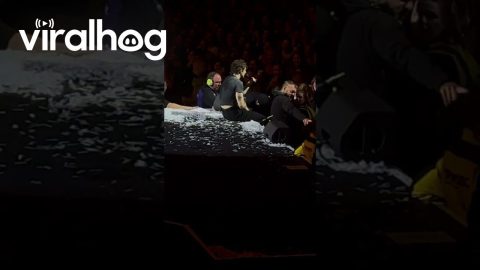 Tom Grennan Stops Show to Check on Fan || ViralHog