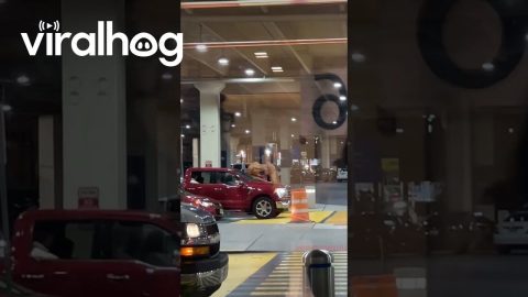 Classic Philly Welcome || ViralHog