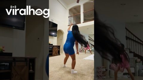 Indoor Volleyball Shatters Favourite Vase || ViralHog