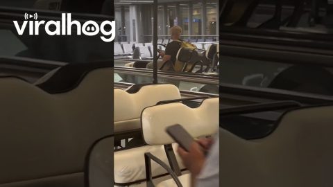 Buffalo Airport Cart Driven Through Moving Sidewalks || ViralHog