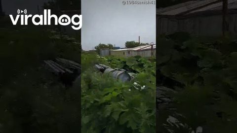 Man Captures Kamchatka Peninsula Earthquake || ViralHog
