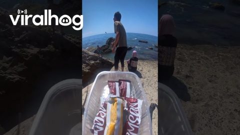 Treating Random People To Drone-Delivered Sweets || ViralHog