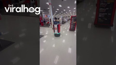 Target Rolls Out New Robots || ViralHog