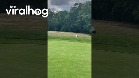 Golfing With the Girls Gone Wrong || ViralHog