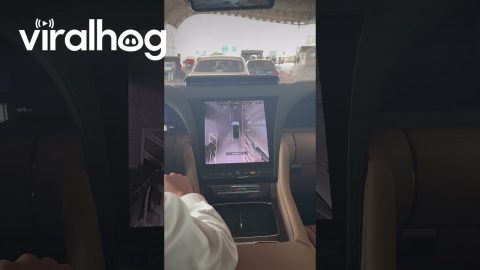 Parking the Car With a Palm and Screen || ViralHog